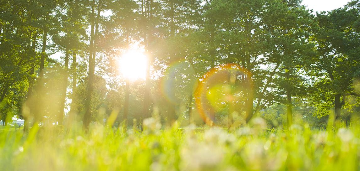 VIGNAL AKTUALISIERT SEINE CSR-CHARTA